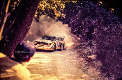 Walter Röhrl - Christian Geistdörfer
27º Rally Sanremo 1985. Audi Sport Quattro S1 E2 (IN-NM 7). Clasificado 1º.

Del 29 de Septiembre al 4 de Octubre, Sanremo, Liguria, Imperia, Italia.
Superficie: asfalto - tierra.

El Rally tenia un total de 2340.56 km, de los que 696.90 km divididos en 45 tramos eran especiales (2 de ellos fueron cancelados SS20 Murio 1 de 9.12 km, SS36 Ronde 1 de 37.22 km).

Tomaron la salida 98 equipos, finalizaron 33.

© Antonio Lippi
@
Palabras clave: Walter_Röhrl;Audi;Quattro;Sport;Grupo_B;Sanremo;1985
