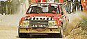 1984_013_020_Jean-Pierre_Rouget_-_Leuvrey_Jean-ClaudeTERRE_DE_PROVENCE_84.jpg