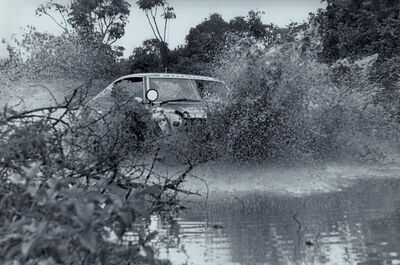 Rauno August Aaltonen - Lofty Drews
25º Safari Rally 1977. Datsun 160J (TKS56ME6431). Clasificado 2º.
D.T. Dobie & Co

Del 7 al 11 de Abril, Nairobi, Kenya, Africa.
Superficie: tierra.

El Rally tenia un total de 5949 km con 81 controles horarios.

Tomaron la salida 61 equipos,finalizaron 12.@
Palabras clave: Datsun;Violet;Safari;1977
