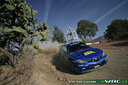 2008_011_005_Petter_Solberg_pl_a_5_solbergp_1_28229.jpg