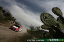 2008_999_061_Jan_Kopecky_pl_a_150_kopecky_3_28529.jpg