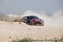 2011_003_001_Sebastien_Loeb_PHOTO_Ludvik_Drahokoupil_ld_a_30_loeb_1.jpg