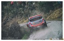 2015_005_007_Thierry_Neuville_PHOTO_Nicolo_Pace_npa_10.jpg