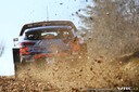 2019_002_011_Thierry_Neuville_PHOTO_Bogdan_Barabas_bog_33431.jpg