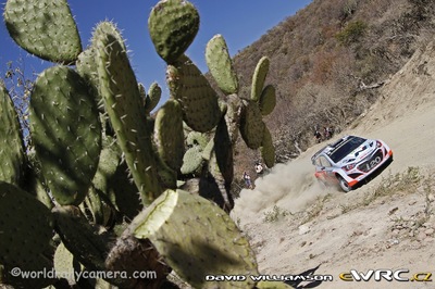 Thierry Neuville - Nicolas Gilsoul
11º Rally Guanajuato Mexico 2014. Hyundai i20 WRC (ALZ WR 43). Clasificado 3º.
Hyundai Motorsport

Del 6 al 9 de Marzo, León.
Superficie: tierra.

El Rallye constaba de 3 etapas con un total de 1038.19 km de los que 399.93 km divididos en 22 tramos eran cronometrados.

Tomaron la salida 39 equipos, finalizaron 30.

© David Williamson

Palabras clave: Hyundai;WRC;Mexico;2014