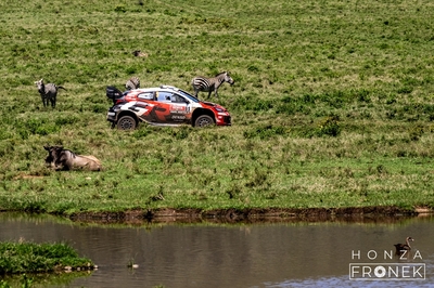 Sami Pajari - Marko Salminen
74º Safari Rally Kenya 2026. Toyota GR Yaris Rally1 (A-7657). Clasificado 3º.
Toyota Gazoo Racing WRT

Del 12 al 15 de Marzo, Naivasha.
Superficie: tierra.

El Rally constaba de 4 etapas con un total de 1205.46 km de los que 338.34 km divididos en 20 tramos eran cronometrados.

Tomaron la salida 41 equipos, finalizaron 29.

© Honza Fronek

Palabras clave: Toyota;Yaris;Rally1;Kenya;2026