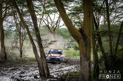 Esapekka Lappi - Enni Mälkönen
74º Safari Rally Kenya 2026. Hyundai i20 N Rally1 (ALZ WR 909). Clasificado 4º.
Hyundai Shell Mobis WRT

Del 12 al 15 de Marzo, Naivasha.
Superficie: tierra.

El Rally constaba de 4 etapas con un total de 1205.46 km de los que 338.34 km divididos en 20 tramos eran cronometrados.

Tomaron la salida 41 equipos, finalizaron 29.

© Honza Fronek

Palabras clave: Hyundai;Rally1;Kenya;2026