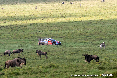 Esapekka Lappi - Enni Mälkönen
74º Safari Rally Kenya 2026. Hyundai i20 N Rally1 (ALZ WR 909). Clasificado 4º.
Hyundai Shell Mobis WRT

Del 12 al 15 de Marzo, Naivasha.
Superficie: tierra.

El Rally constaba de 4 etapas con un total de 1205.46 km de los que 338.34 km divididos en 20 tramos eran cronometrados.

Tomaron la salida 41 equipos, finalizaron 29.

© Vladislav Maschl

Palabras clave: Hyundai;Rally1;Kenya;2026