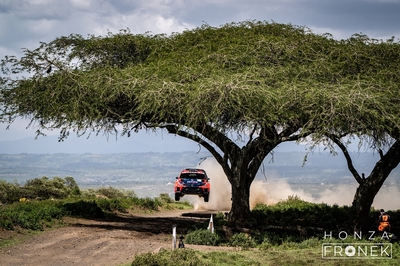 Gus Greensmith - Jonas Andersson
74º Safari Rally Kenya 2026. Toyota GR Yaris Rally2 (S 4129 BCL). Clasificado 6º.

Del 12 al 15 de Marzo, Naivasha.
Superficie: tierra.

El Rally constaba de 4 etapas con un total de 1205.46 km de los que 338.34 km divididos en 20 tramos eran cronometrados.

Tomaron la salida 41 equipos, finalizaron 29.

© Honza Fronek

Palabras clave: Toyota;Yaris;Rally2;Kenya;2026