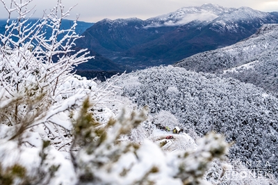 Léo Rossel - Guillaume Mercoiret
94º Rallye Automobile de Monte-Carlo 2026. Citroën C3 Rally2 (HB-105-NY). Clasificado 6º.
2C Junior Team

Del 22 al 25 de Enero, Gap - Monaco.
Superficie: asfalto - nieve.

El Rally constaba de 4 etapas con un total de 1553.22 km de los que 339.15 km divididos en 17 tramos eran cronometrados.

Tomaron la salida 65 equipos, finaluizaron 48.

© Honza Fronek

Palabras clave: Citroen;Rally2;Montecarlo;2026