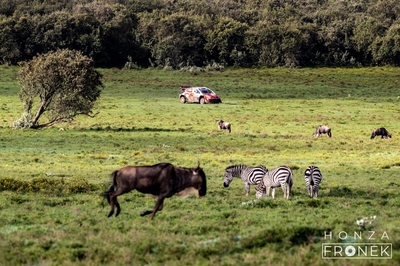 Oliver Solberg - Elliott Edmondson
74º Safari Rally Kenya 2026. Toyota GR Yaris Rally1 (A-7662). Clasificado 10º.
Toyota Gazoo Racing WRT

Del 12 al 15 de Marzo, Naivasha.
Superficie: tierra.

El Rally constaba de 4 etapas con un total de 1205.46 km de los que 338.34 km divididos en 20 tramos eran cronometrados.

Tomaron la salida 41 equipos, finalizaron 29.

© Honza Fronek

Palabras clave: Toyota;Yaris;Rally1;Kenya;2026