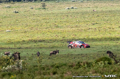 Oliver Solberg - Elliott Edmondson
74º Safari Rally Kenya 2026. Toyota GR Yaris Rally1 (A-7662). Clasificado 10º.
Toyota Gazoo Racing WRT

Del 12 al 15 de Marzo, Naivasha.
Superficie: tierra.

El Rally constaba de 4 etapas con un total de 1205.46 km de los que 338.34 km divididos en 20 tramos eran cronometrados.

Tomaron la salida 41 equipos, finalizaron 29.

© Vladislav Maschl

Palabras clave: Toyota;Yaris;Rally1;Kenya;2026