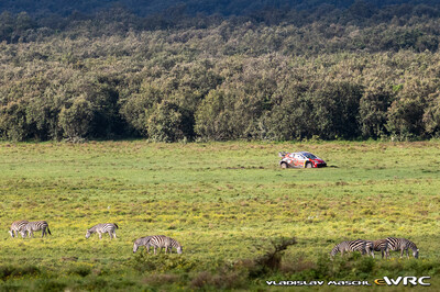 Sébastien Ogier - Lanais Vincent
74º Safari Rally Kenya 2026. Toyota GR Yaris Rally1 (A-7664). Clasificado 11º.
Toyota Gazoo Racing WRT

Del 12 al 15 de Marzo, Naivasha.
Superficie: tierra.

El Rally constaba de 4 etapas con un total de 1205.46 km de los que 338.34 km divididos en 20 tramos eran cronometrados.

Tomaron la salida 41 equipos, finalizaron 29.

© Vladislav Maschl

Palabras clave: Toyota;Yaris;Rally1;Kenya;2026