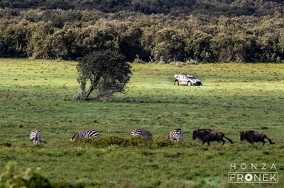 Jon Armstrong - Shane Byrne
74º Safari Rally Kenya 2026. Ford Puma Rally1 (YX22 FCD). Clasificado 15º
M-Sport Ford WRT

Del 12 al 15 de Marzo, Naivasha.
Superficie: tierra.

El Rally constaba de 4 etapas con un total de 1205.46 km de los que 338.34 km divididos en 20 tramos eran cronometrados.

Tomaron la salida 41 equipos, finalizaron 29.

© Honza Fronek

Palabras clave: Ford;Puma;Rally1;Kenya;2026