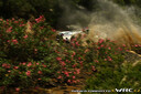 2011_006_005_Matthew_Wilson_PHOTO_Monica_Parisotto_mp_a_26_wilson_2.jpg