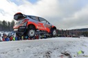 2014_028_007_Thierry_Neuville_PHOTO_Timo_Anis_tan_tap_1506.jpg