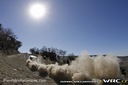 2014_999_003_Kris_Meeke_PHOTO_David_Williamson_dwi_14-03mex_meeke0004.jpg
