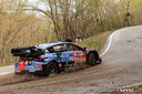 2026_003_020_Hayden_Paddon_PHOTO_Petr_Sedivec_pse_071a5260.jpg