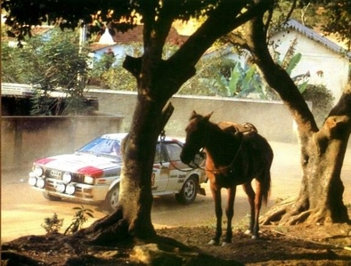 Michèle Mouton - Fabrizia Pons
4º Marlboro Rallye de Brasil 1982. Audi Quattro (IN-NU 38). Clasificada 1ª.

Último Rallye válido para el campeonato del Mundo ganado por Michèle Mouton.

Del 11 al 14 de Agosto, Sao Paulo, Brasil.
Superficie: tierra.

El Rally tenia un total de 2295 km de los que 705.98 km divididos en 29 tramos eran especiales, (5 de ellas fueron canceladas, SS7, SS14, SS15, SS20 y SS22).

Tomaron la salida 55 equipos, finalizaron 5.@
Palabras clave: Michele_Mouton;Audi;Quattro;Brasil;1982;Mujeres;Womens