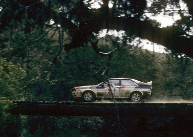Michèle Mouton - Fabrizia Pons
4º Marlboro Rallye de Brasil 1982. Audi Quattro (IN-NU 38). Clasificada 1ª.

Último Rallye válido para el campeonato del Mundo ganado por Michèle Mouton.

Del 11 al 14 de Agosto, Sao Paulo, Brasil.
Superficie: tierra.

El Rally tenia un total de 2295 km de los que 705.98 km divididos en 29 tramos eran especiales, (5 de ellas fueron canceladas, SS7, SS14, SS15, SS20 y SS22).

Tomaron la salida 55 equipos, finalizaron 5.@
Palabras clave: Michele_Mouton;Audi;Quattro;Brasil;1982;Mujeres;Womens