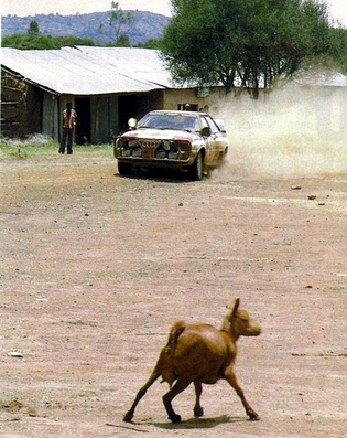 Hannu Mikkola - Arne Hertz
31º Marlboro Safari Rally 1983. Audi Quattro A1 (IN-YC 17). Clasificado 2º.

Del 30 de Marzo al 4 de Abril, Nairobi, Kenya, África.
Superficie: tierra.

El Rally tenia un total de 5035 km en los que 1620.95 km se encontraban 26 controles horarios.

Tomaron la salida 78 equipos, finalizaron 22.@
Palabras clave: ;Audi;Quattro;Grupo_B;Safari;1983
