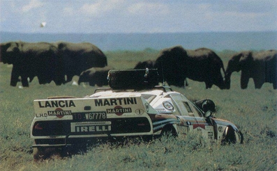 Markku Alén - Ilkka Kivimäki
32º Marlboro Safari Rally 1984. Lancia Rally 037 (TO-W67778). Clasificado 4º.

Del 19 al 23 de Abril, Nairobi, Kenya, África.
Superficie: tierra.

El Rally tenia 5.254 km con 105 controles horarios.

Tomaron la salida 76 equipos, finalizaron 25.@
Palabras clave: Markku_Alen;Lancia;Safari;Rally;1984;Grupo_B
