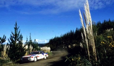 Reginald "Reg" Cook - Wayne Jones
15º AWA Clarion Rally de Nueva Zelanda 1985. Nissan 240RS (MB6138). Clasificado 6º.
Nissan New Zealand

Del 29 de Junio al 2 de Julio, Auckland, Nueva Zelanda.
Superficie: tierra.

El Rally tenia un total de 2487.00 km de los que 935.50 km divididos en 48 tramos eran especiales, (2 de ellas fueron canceladas SS11 Ahuroa Puhoi Road de 12 Km y SS45 Bothwell Road de 25 Km).

Tomaron la salida 67 equipos, finalizaron 39.@
Palabras clave: Nissan;Nueva_Zelanda;1985;Grupo_B