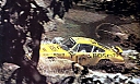 1973_999_010_Bjorn_Waldegard_-_Hans_Thorszelius2C_Porsche_9112C_retired4.jpg