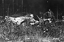 1974_001_Sandro_Munari_-_Mario_Manucci2C_Lancia_Stratos_HF_HF2C_1st_28229.jpg