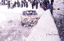 1978_100_1978168.jpg