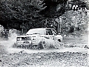 1980_003_007_Markku_Alen_-_Ilkka_Kivimaki2C_Fiat_131_Abarth2C_3rd_28229.jpg
