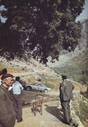 1980_014_019_Vic_Preston_1980_014_Rally_Acropolis_1980_preston.jpg