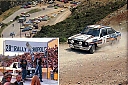 1981_001_001_Ari_Vatanen_-_David_Richards2C_Ford_Escort_RS18002C_1st1_281729.jpg