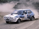 1981_006_006_Attilio_Bettega_1981_006_Fiat_Ritmo_75_Abarth_Rally_1981.jpg