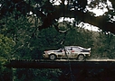 Nombre del archivo=1982_001_003_Michele_Mouton_Rally_de_Brasil_1982_4315648_n_28329.jpg
Tamaño del archivo=243KiB
Dimensiones=986x699
Fecha añadida=13 Mayo 2023 1982_001_003_Michele_Mouton_Rally_de_Brasil_1982_4315648_n_28329.jpg