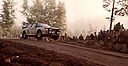 1983_002_003_Stig_Blomqvist_-_Bjorn_Cederberg2C_Audi_Quattro_A22C_2nd8.jpg