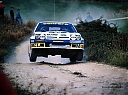 1983_003_Rally_San_Marino_1983_-_D_Cerrato_-_G_Cerri.jpg
