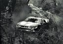 1983_005_Rally_Argentina_1983_-_M_Alen_-_I_Kivimaki.jpg