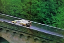 Nombre del archivo=1984_002_009_Miki_Biasion_1984_002_Rally_Tour_de_Corse_1984_-_M_Biasion_-_T_Siviero.jpg
Tamaño del archivo=308KiB
Dimensiones=960x639
Fecha añadida=25 Septiembre 2014 1984_002_009_Miki_Biasion_1984_002_Rally_Tour_de_Corse_1984_-_M_Biasion_-_T_Siviero.jpg