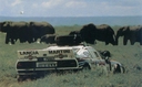 Nombre del archivo=1984_004_SAFARI_RALLY_APRILE_1984_NAIROBI_KENYA_MARKKU_ALEN.jpg
Tamaño del archivo=174KiB
Dimensiones=770x477
Fecha añadida=13 Diciembre 2013 1984_004_SAFARI_RALLY_APRILE_1984_NAIROBI_KENYA_MARKKU_ALEN.jpg