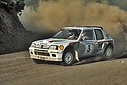 1984_999_003_Ari_Vatanen_-_Terry_Harryman2C_Peugeot_205_T162C_retired_281029.jpg