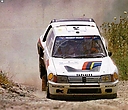 1984_999_003_Ari_Vatanen_-_Terry_Harryman2C_Peugeot_205_T162C_retired_28229.jpg