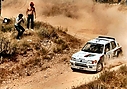 1984_999_003_Ari_Vatanen_-_Terry_Harryman2C_Peugeot_205_T162C_retired_28829.jpg