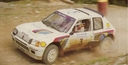 1984_999_003_Ari_Vatanen_1984_999_Ari_Vatanen-Terry_Harryman_acropolis_1984.jpg