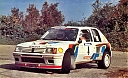 1984_999_004_Ari_Vatanen_-_Terry_Harryman2C_Peugeot_205_T162C_Gr_B2C_323_EXA_752C_accident.jpg