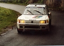 1984_999_004_Ari_Vatanen_1984_999_Ari_Vatanen_1984_PEUGEOT_205T16_VATANEN_1_corse_tour.jpg