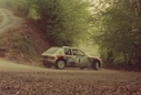 1984_999_004_Ari_Vatanen_1984_999_Ari_Vatanen_205-nicol.JPG