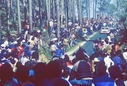 1984_999_010_Henri_Toivonen_1984_999_Henri_Toivonen_portugal_lancia_037.jpg