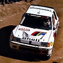 1985_001_Timo_Salonen_-_Seppo_Harjanne2C_Peugeot_205_Turbo_162C_1st_281629.jpg
