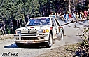 1985_001_Timo_Salonen_-_Seppo_Harjanne2C_Peugeot_205_Turbo_162C_1st_281729.jpg